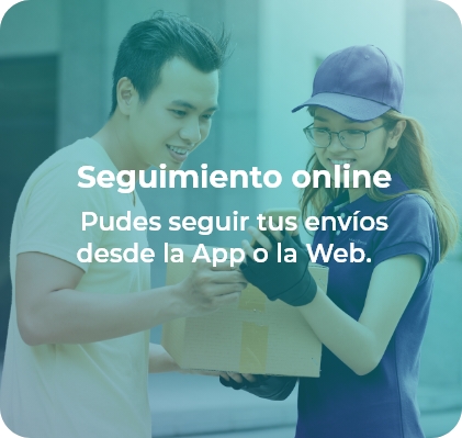 Seguimiento online